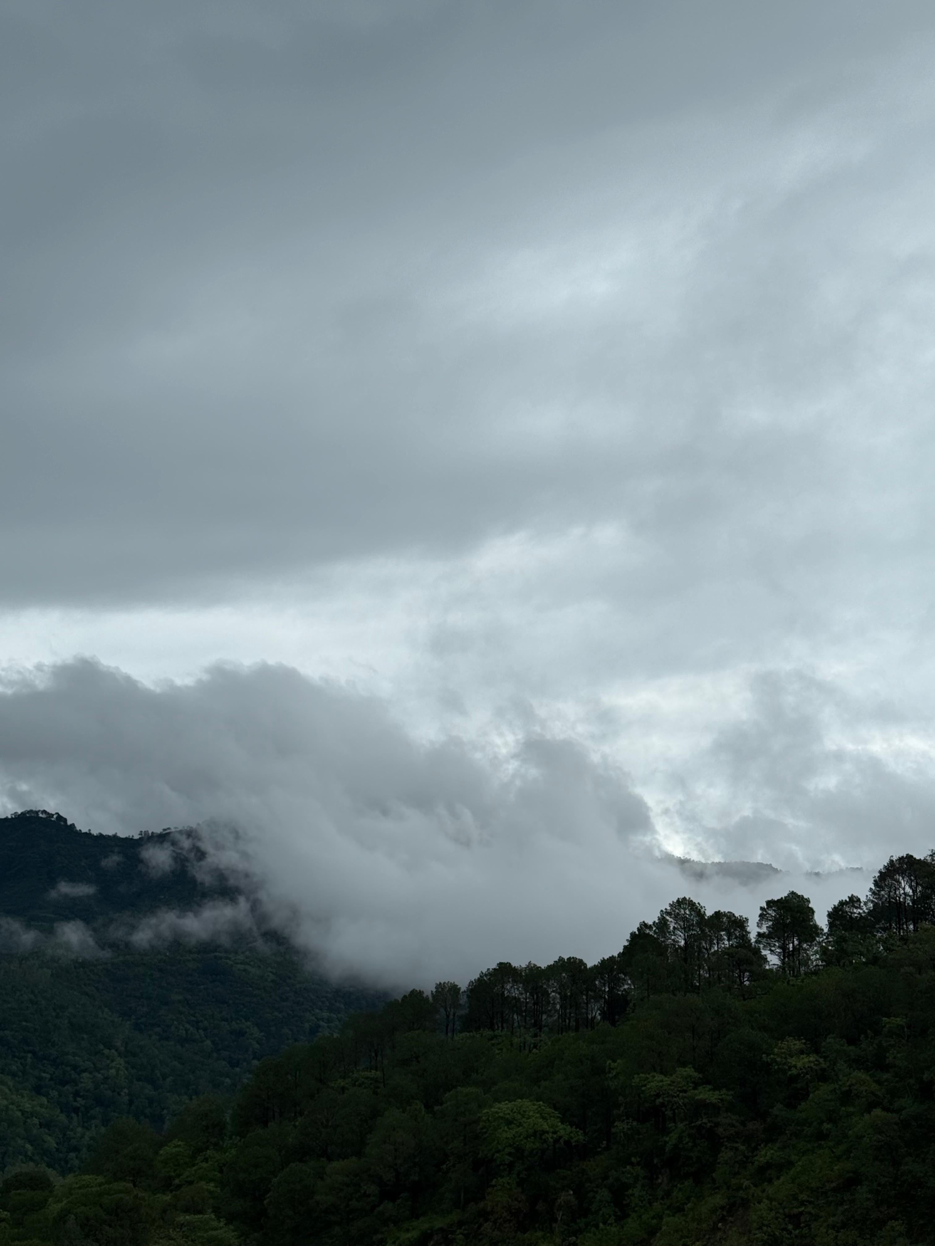 Misty hills at Jamta